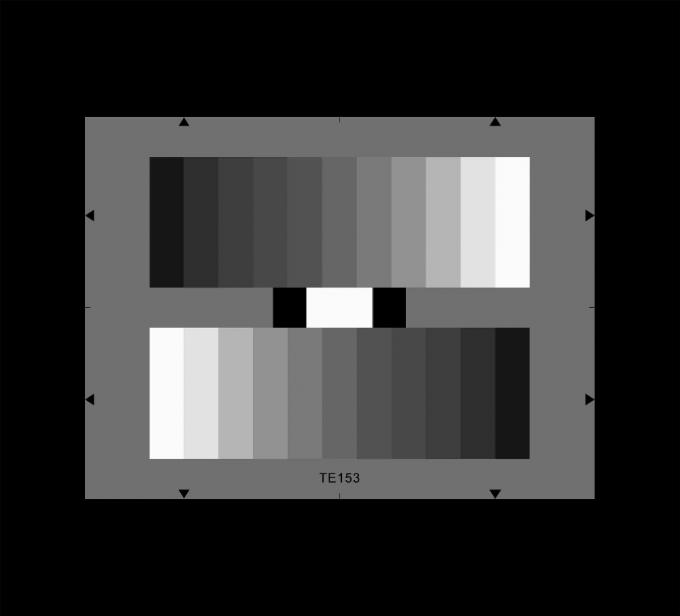 TE153_D_LOGARITHMICの無彩色スケールの試験標板